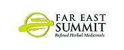 Far East Summit